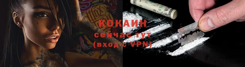 мега маркетплейс  площадка как зайти  Cocaine Fish Scale  купить наркотик  Лиски 