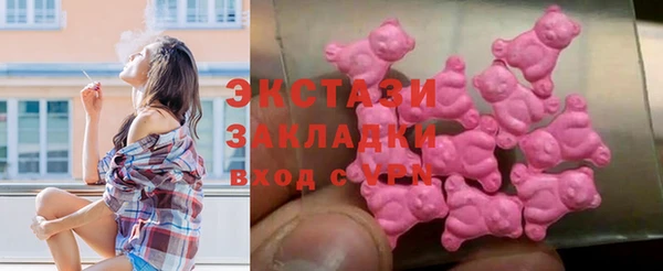 дживик Няндома