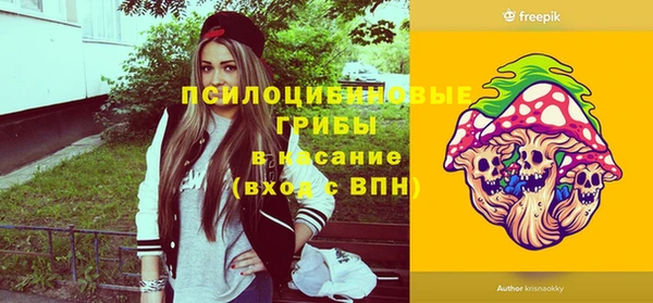 крисы Нязепетровск