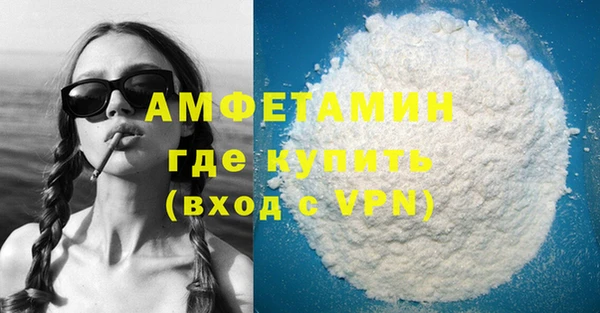 дживик Няндома