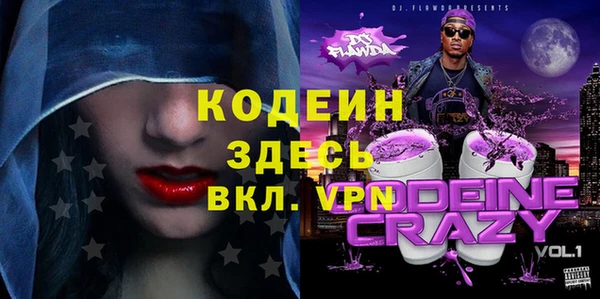 дживик Няндома