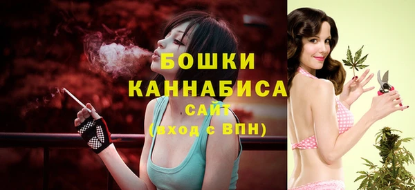 дживик Няндома