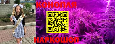 винт Будённовск