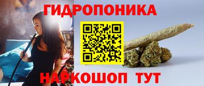 винт Будённовск