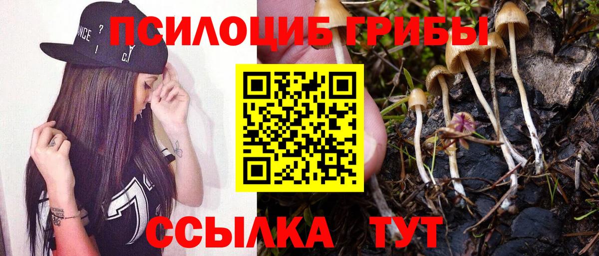 Галлюциногенные грибы Psilocybe Лиски