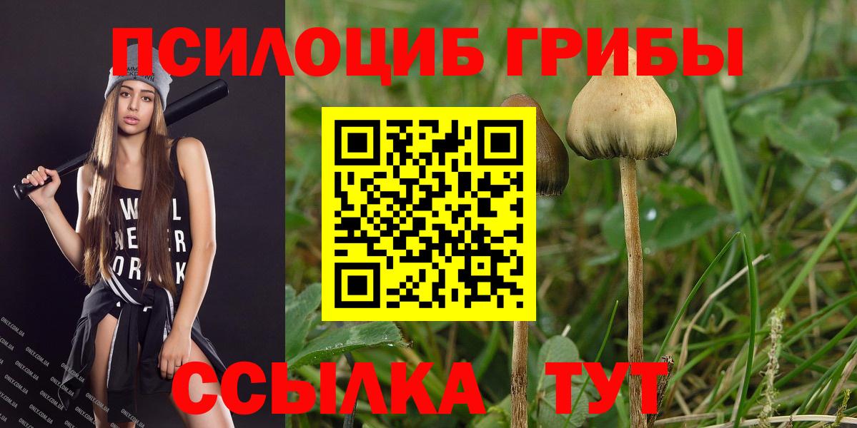 Псилоцибиновые грибы мицелий  Вход с VPN  Галлюциногенные грибы MAGIC MUSHROOMS  дарнет шоп  Лиски 