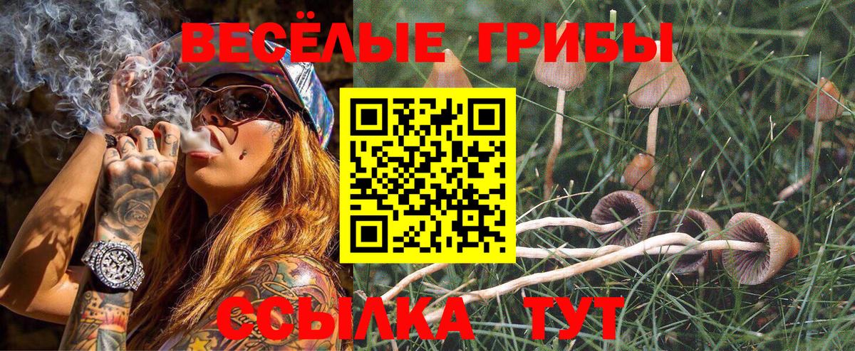 Галлюциногенные грибы Psilocybine cubensis Лиски